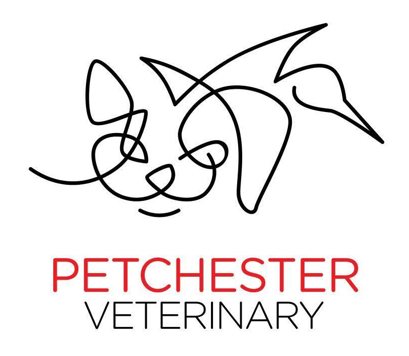 petchester.jpg