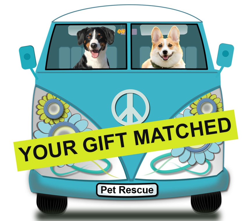 van-needed-2Xmatch.jpg